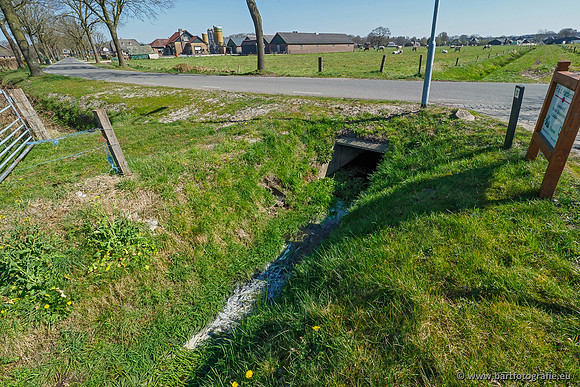 Bekenstelsel rondom Elspeet 060420-017