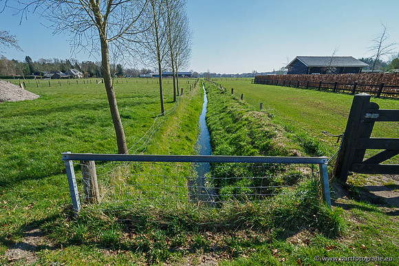 Bekenstelsel rondom Elspeet 060420-019