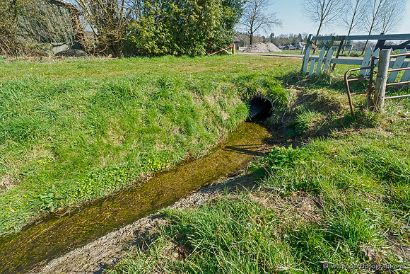 Bekenstelsel rondom Elspeet 060420-020