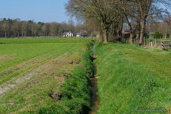 Bekenstelsel rondom Elspeet 060420-022