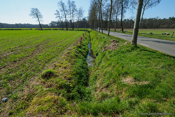 Bekenstelsel rondom Elspeet 060420-026