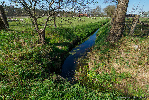 Bekenstelsel rondom Elspeet 060420-027