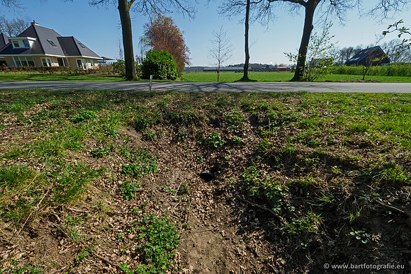 Bekenstelsel rondom Elspeet 060420-031