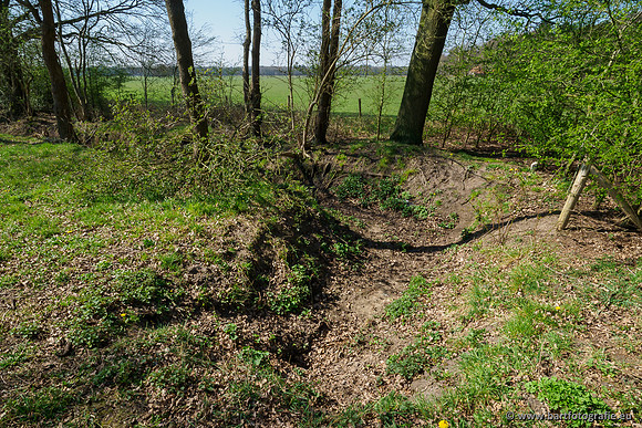 Bekenstelsel rondom Elspeet 060420-032