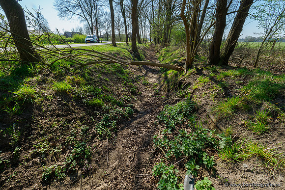 Bekenstelsel rondom Elspeet 060420-033