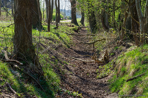 Bekenstelsel rondom Elspeet 060420-034
