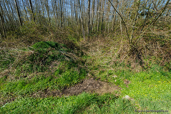 Bekenstelsel rondom Elspeet 060420-037