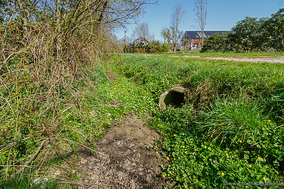 Bekenstelsel rondom Elspeet 060420-038