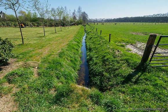 Bekenstelsel rondom Elspeet 060420-039