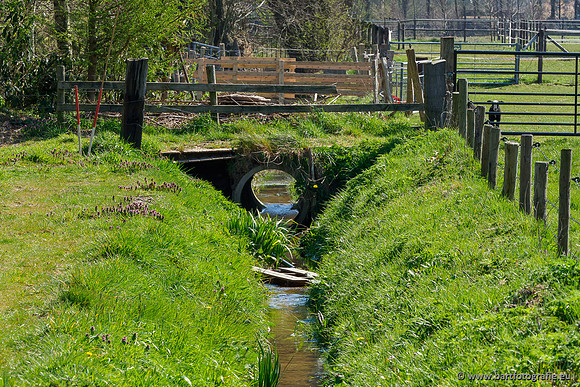 Bekenstelsel rondom Elspeet 060420-040