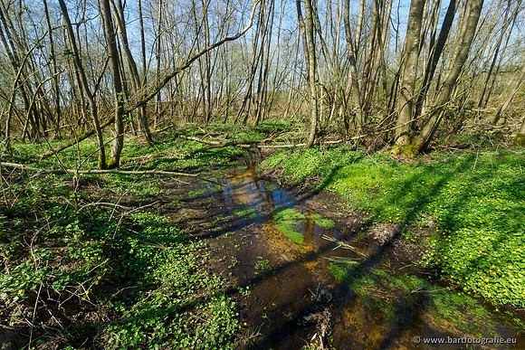 Bekenstelsel rondom Elspeet 060420-043