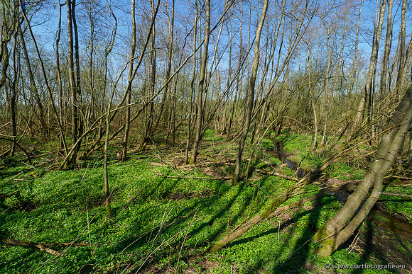 Bekenstelsel rondom Elspeet 060420-044