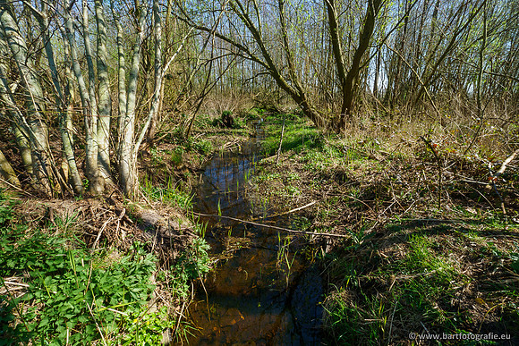 Bekenstelsel rondom Elspeet 060420-045