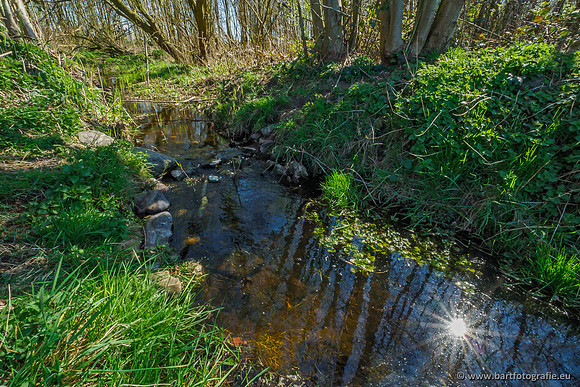 Bekenstelsel rondom Elspeet 060420-046