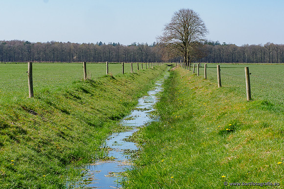 Bekenstelsel rondom Elspeet 060420-048