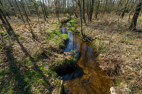 Bekenstelsel rondom Elspeet 060420-053