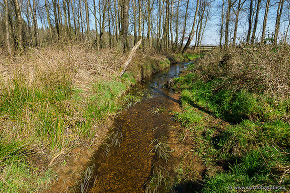 Bekenstelsel rondom Elspeet 060420-054