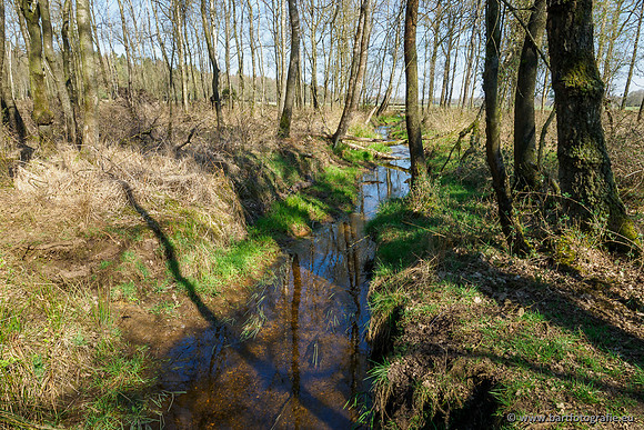 Bekenstelsel rondom Elspeet 060420-055