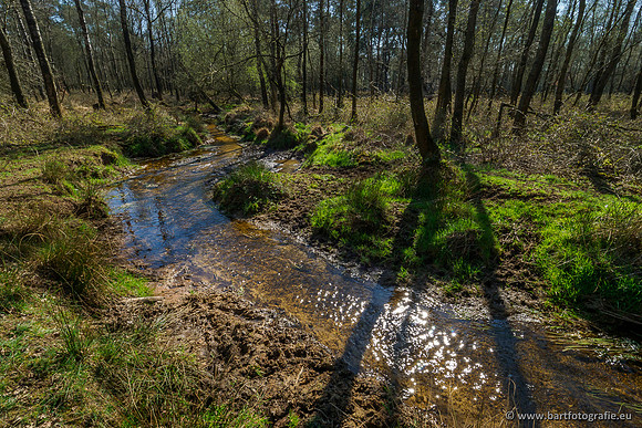 Bekenstelsel rondom Elspeet 060420-056