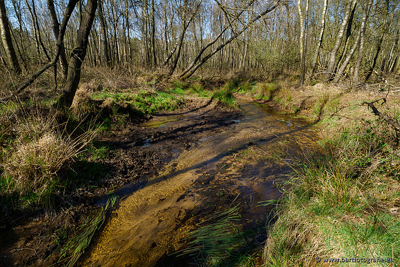 Bekenstelsel rondom Elspeet 060420-059