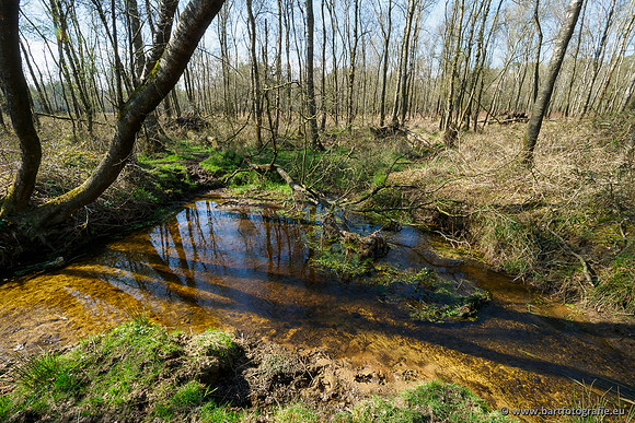 Bekenstelsel rondom Elspeet 060420-057
