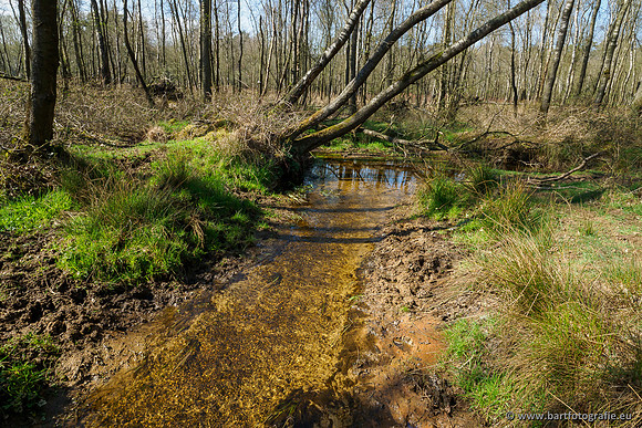 Bekenstelsel rondom Elspeet 060420-058
