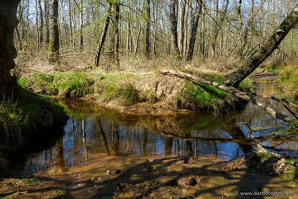 Bekenstelsel rondom Elspeet 060420-060