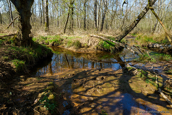 Bekenstelsel rondom Elspeet 060420-061