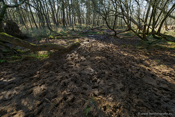 Bekenstelsel rondom Elspeet 060420-063