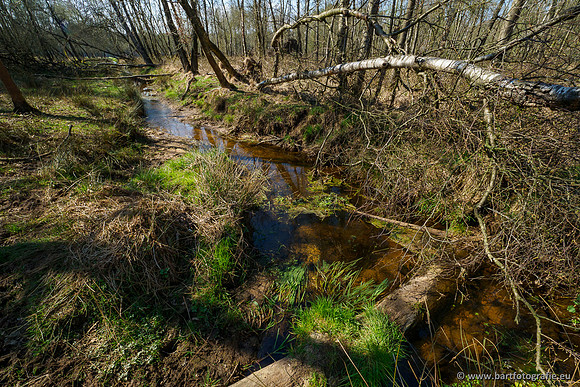 Bekenstelsel rondom Elspeet 060420-062