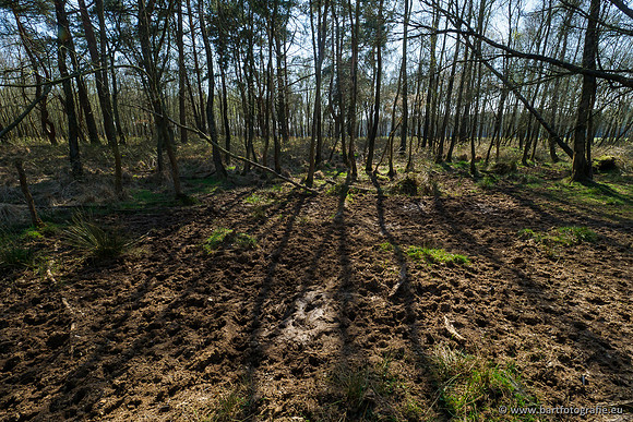 Bekenstelsel rondom Elspeet 060420-064