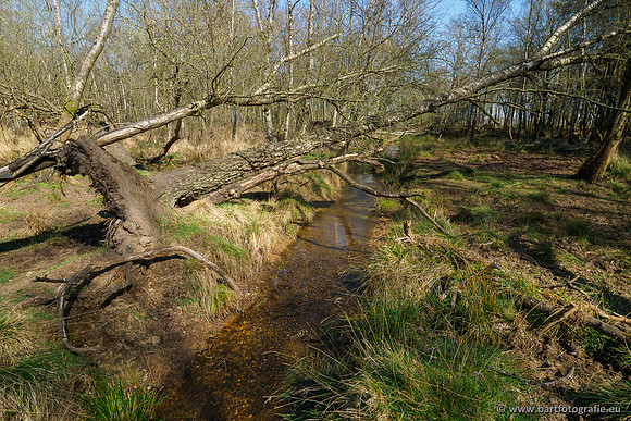 Bekenstelsel rondom Elspeet 060420-067