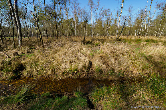 Bekenstelsel rondom Elspeet 060420-068