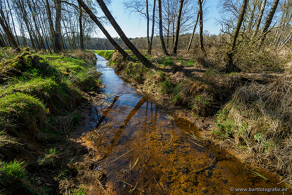 Bekenstelsel rondom Elspeet 060420-069