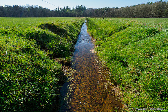 Bekenstelsel rondom Elspeet 060420-072