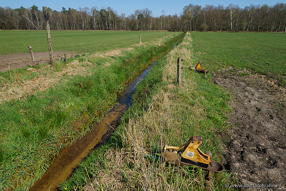 Bekenstelsel rondom Elspeet 060420-073