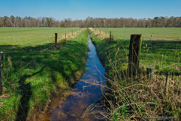 Bekenstelsel rondom Elspeet 060420-076