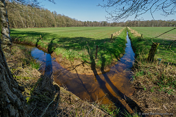 Bekenstelsel rondom Elspeet 060420-077
