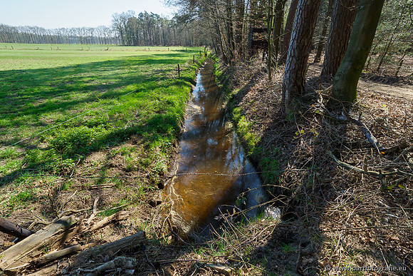 Bekenstelsel rondom Elspeet 060420-083