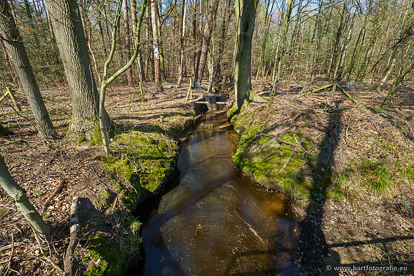 Bekenstelsel rondom Elspeet 060420-085