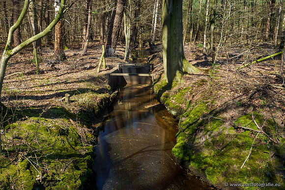 Bekenstelsel rondom Elspeet 060420-086