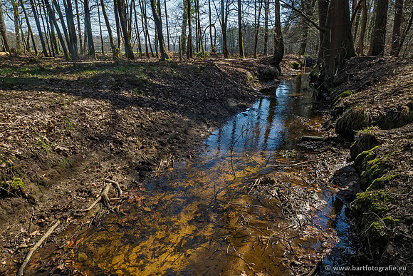 Bekenstelsel rondom Elspeet 060420-088