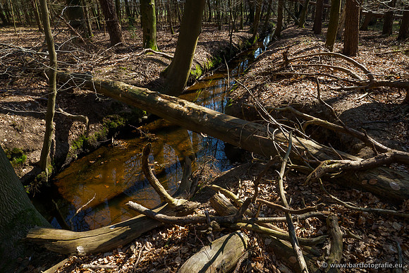 Bekenstelsel rondom Elspeet 060420-089
