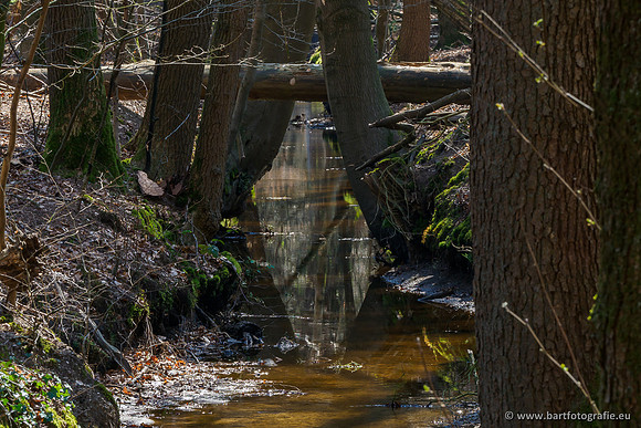 Bekenstelsel rondom Elspeet 060420-090