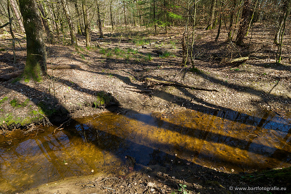 Bekenstelsel rondom Elspeet 060420-091