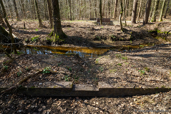 Bekenstelsel rondom Elspeet 060420-092