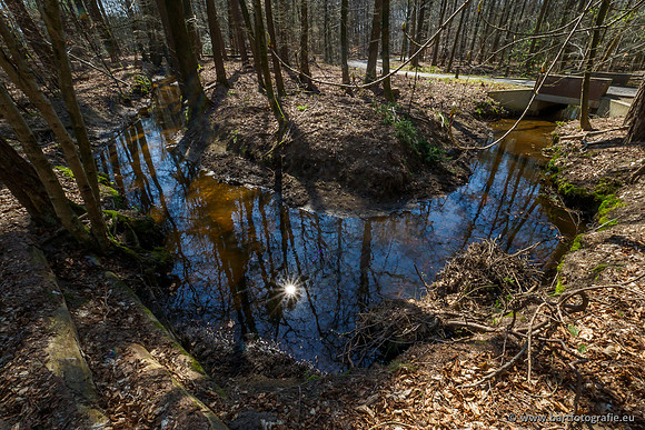 Bekenstelsel rondom Elspeet 060420-093