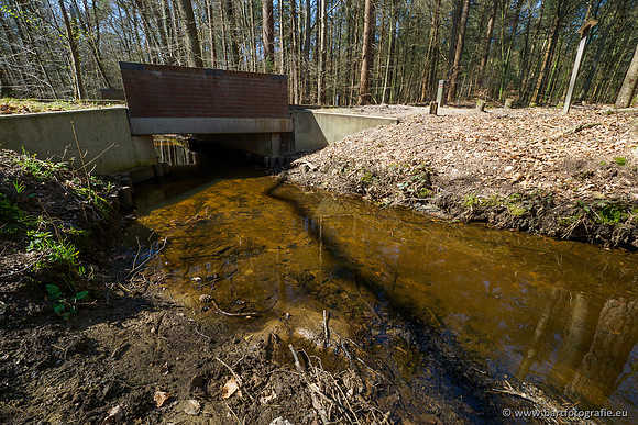 Bekenstelsel rondom Elspeet 060420-094