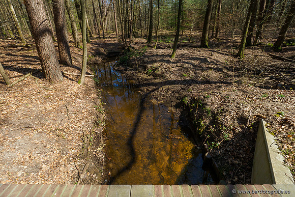 Bekenstelsel rondom Elspeet 060420-095