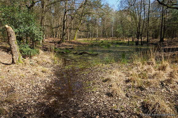 Bekenstelsel rondom Elspeet 060420-098
